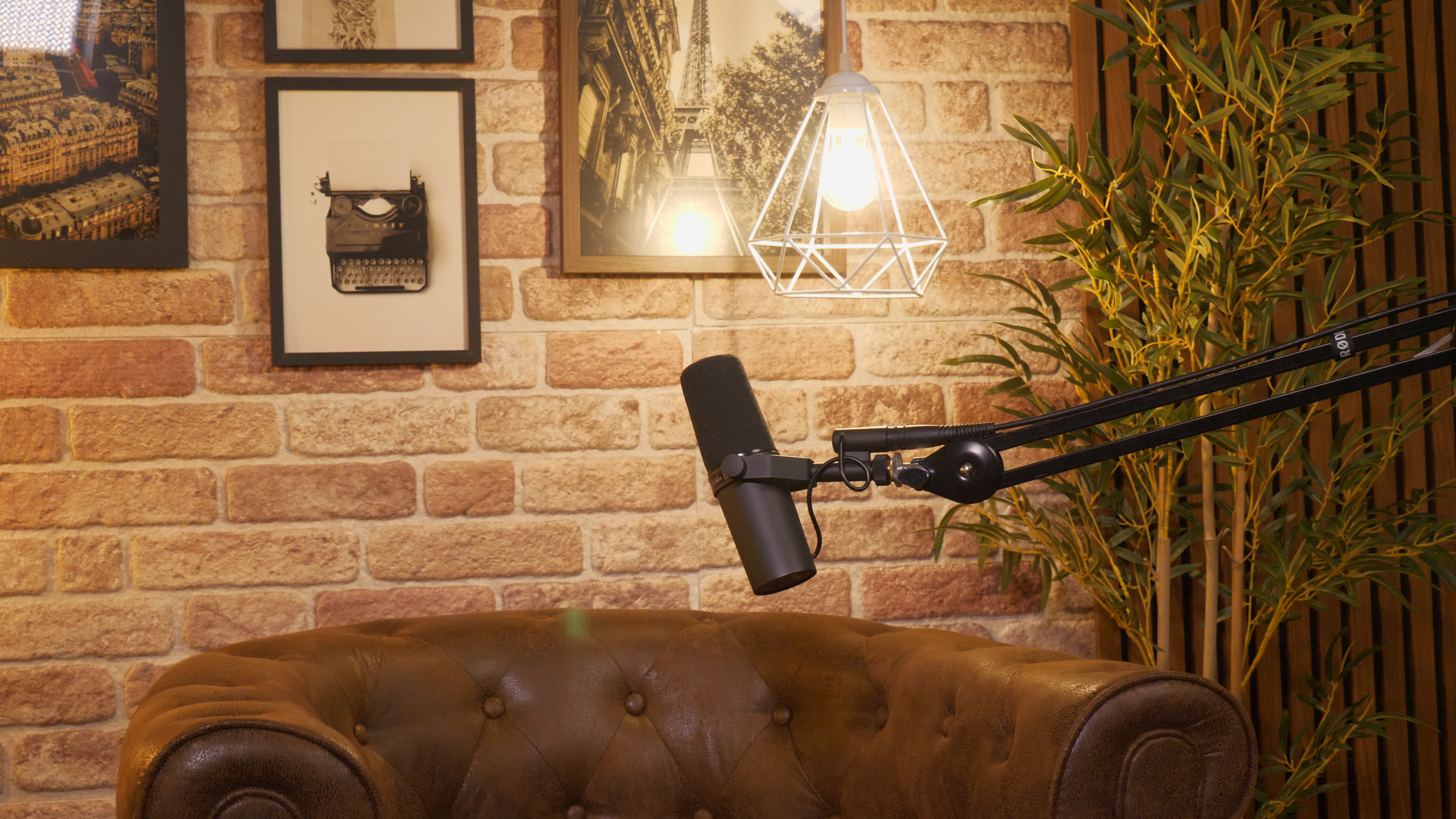 Studio D - aperçu 3
